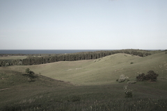 Killikus&reg; Fotographie